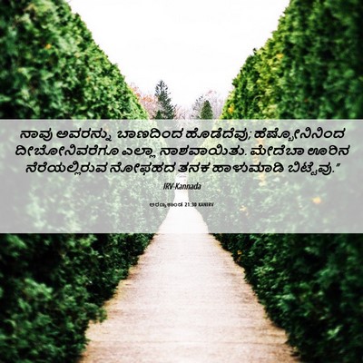 Picture 06 - ಅರಣ್ಯಕಾಂಡ 21:30 KANIRV - ನಾವು ಅವರನ್ನು - Bible Verse Picture