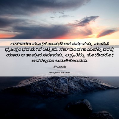 Picture 06 - ಅರಣ್ಯಕಾಂಡ 21:9 KANIRV - ಆದಕಾರಣ ಮೋಶೆ - Bible Verse Picture