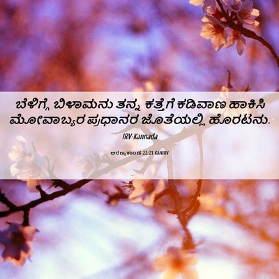 Picture 06 - ಅರಣ್ಯಕಾಂಡ 22:21 KANIRV - ಬೆಳಿಗ್ಗೆ ಬಿಳಾಮನು - Bible Verse Picture