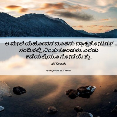 Picture 06 - ಅರಣ್ಯಕಾಂಡ 22:24 KANIRV - ಆ ಮೇಲೆ ಯೆಹೋವನ - Bible Verse Picture