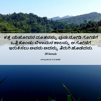Picture 06 - ಅರಣ್ಯಕಾಂಡ 22:25 KANIRV - ಕತ್ತೆ ಯೆಹೋವನ - Bible Verse Picture