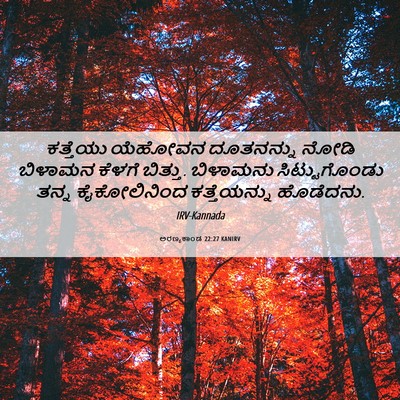 Picture 06 - ಅರಣ್ಯಕಾಂಡ 22:27 KANIRV - ಕತ್ತೆಯು ಯೆಹೋವನ - Bible Verse Picture