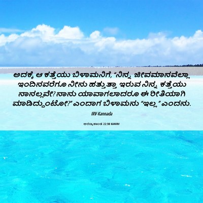 Picture 06 - ಅರಣ್ಯಕಾಂಡ 22:30 KANIRV - ಅದಕ್ಕೆ ಆ ಕತ್ತೆಯು - Bible Verse Picture