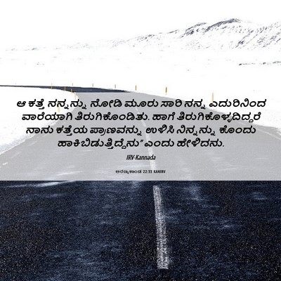 Picture 06 - ಅರಣ್ಯಕಾಂಡ 22:33 KANIRV - ಆ ಕತ್ತೆ ನನ್ನನ್ನು - Bible Verse Picture