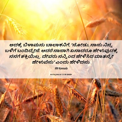 Picture 06 - ಅರಣ್ಯಕಾಂಡ 22:38 KANIRV - ಅದಕ್ಕೆ ಬಿಳಾಮನು - Bible Verse Picture