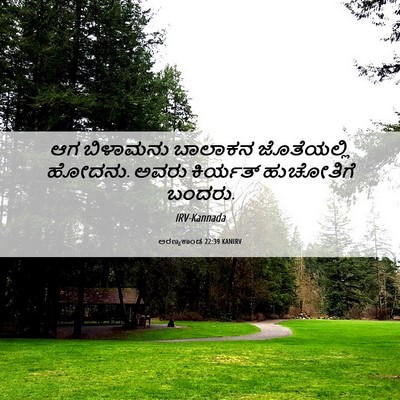 Picture 06 - ಅರಣ್ಯಕಾಂಡ 22:39 KANIRV - ಆಗ ಬಿಳಾಮನು ಬಾಲಾಕನ - Bible Verse Picture