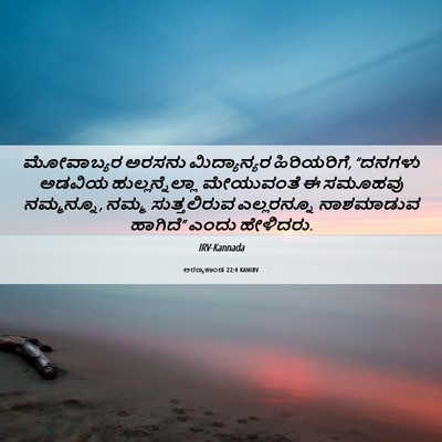 Picture 06 - ಅರಣ್ಯಕಾಂಡ 22:4 KANIRV - ಮೋವಾಬ್ಯರ ಅರಸನು - Bible Verse Picture