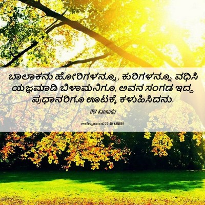 Picture 06 - ಅರಣ್ಯಕಾಂಡ 22:40 KANIRV - ಬಾಲಾಕನು - Bible Verse Picture