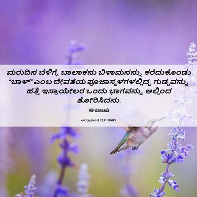 Picture 06 - ಅರಣ್ಯಕಾಂಡ 22:41 KANIRV - ಮರುದಿನ ಬೆಳಿಗ್ಗೆ - Bible Verse Picture