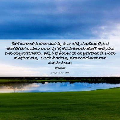 Picture 06 - ಅರಣ್ಯಕಾಂಡ 23:14 KANIRV - ಹೀಗೆ ಬಾಲಾಕನು - Bible Verse Picture