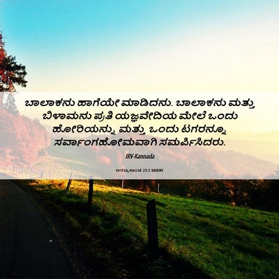 Picture 06 - ಅರಣ್ಯಕಾಂಡ 23:2 KANIRV - ಬಾಲಾಕನು ಹಾಗೆಯೇ - Bible Verse Picture