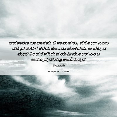 Picture 06 - ಅರಣ್ಯಕಾಂಡ 23:28 KANIRV - ಆದಕಾರಣ ಬಾಲಾಕನು - Bible Verse Picture