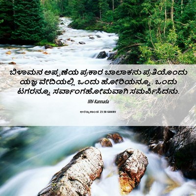 Picture 06 - ಅರಣ್ಯಕಾಂಡ 23:30 KANIRV - ಬಿಳಾಮನ ಅಪ್ಪಣೆಯ - Bible Verse Picture