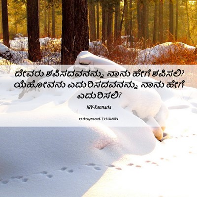 Picture 06 - ಅರಣ್ಯಕಾಂಡ 23:8 KANIRV - ದೇವರು ಶಪಿಸದವನನ್ನು - Bible Verse Picture