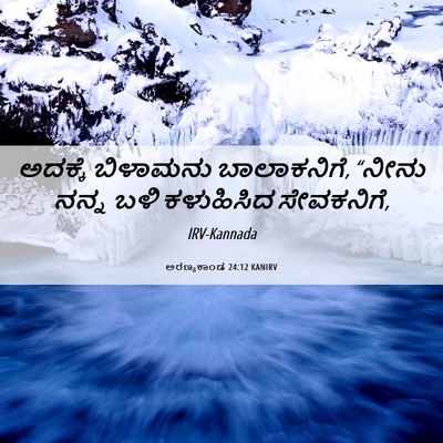 Picture 06 - ಅರಣ್ಯಕಾಂಡ 24:12 KANIRV - ಅದಕ್ಕೆ ಬಿಳಾಮನು - Bible Verse Picture