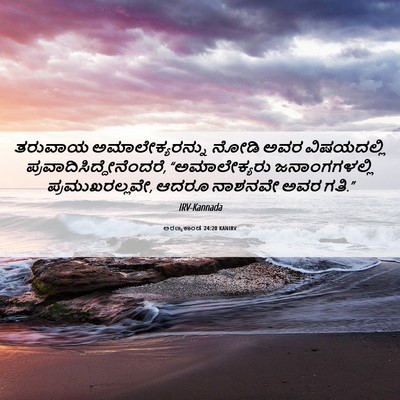 Picture 06 - ಅರಣ್ಯಕಾಂಡ 24:20 KANIRV - ತರುವಾಯ - Bible Verse Picture