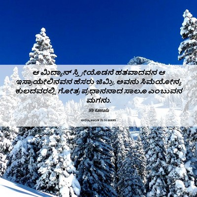 Picture 06 - ಅರಣ್ಯಕಾಂಡ 25:14 KANIRV - ಆ ಮಿದ್ಯಾನ್ - Bible Verse Picture