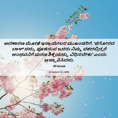 Picture 06 - ಅರಣ್ಯಕಾಂಡ 25:5 KANIRV - ಆದಕಾರಣ ಮೋಶೆ - Bible Verse Picture