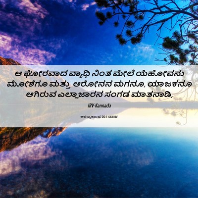 Picture 06 - ಅರಣ್ಯಕಾಂಡ 26:1 KANIRV - ಆ ಘೋರವಾದ ವ್ಯಾಧಿ - Bible Verse Picture