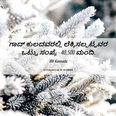 Picture 06 - ಅರಣ್ಯಕಾಂಡ 26:18 KANIRV - ಗಾದ್ ಕುಲದವರಲ್ಲಿ - Bible Verse Picture