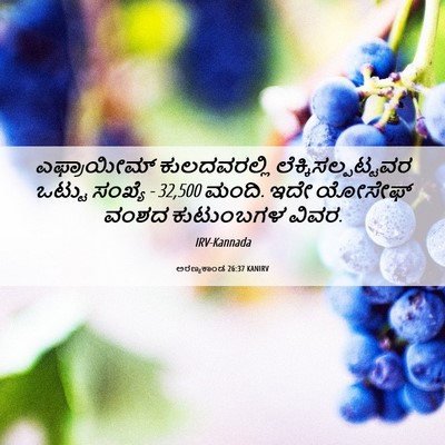 Picture 06 - ಅರಣ್ಯಕಾಂಡ 26:37 KANIRV - ಎಫ್ರಾಯೀಮ್ - Bible Verse Picture