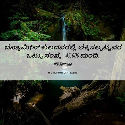 Picture 06 - ಅರಣ್ಯಕಾಂಡ 26:41 KANIRV - ಬೆನ್ಯಾಮೀನ್ - Bible Verse Picture