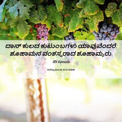 Picture 06 - ಅರಣ್ಯಕಾಂಡ 26:42 KANIRV - ದಾನ್ ಕುಲದ - Bible Verse Picture