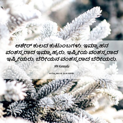 Picture 06 - ಅರಣ್ಯಕಾಂಡ 26:44 KANIRV - ಆಶೇರ್ ಕುಲದ - Bible Verse Picture