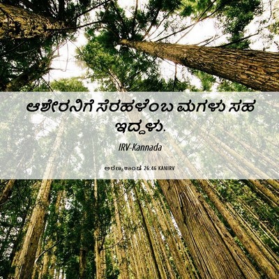 Picture 06 - ಅರಣ್ಯಕಾಂಡ 26:46 KANIRV - ಆಶೇರನಿಗೆ ಸೆರಹಳೆಂಬ - Bible Verse Picture