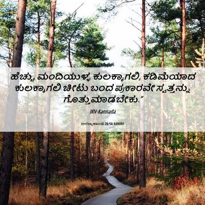 Picture 06 - ಅರಣ್ಯಕಾಂಡ 26:56 KANIRV - ಹೆಚ್ಚು ಮಂದಿಯುಳ್ಳ - Bible Verse Picture