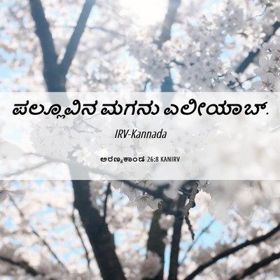 Picture 06 - ಅರಣ್ಯಕಾಂಡ 26:8 KANIRV - ಪಲ್ಲೂವಿನ ಮಗನು - Bible Verse Picture