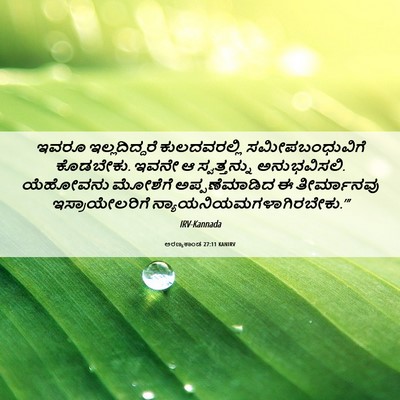 Picture 06 - ಅರಣ್ಯಕಾಂಡ 27:11 KANIRV - ಇವರೂ ಇಲ್ಲದಿದ್ದರೆ - Bible Verse Picture