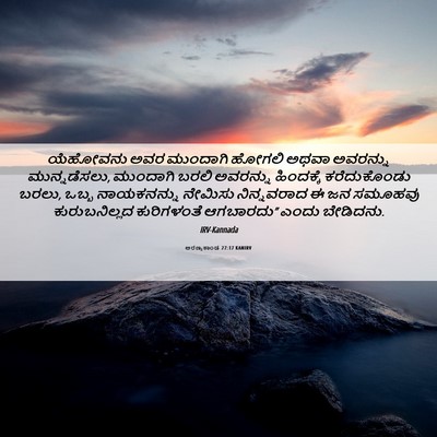 Picture 06 - ಅರಣ್ಯಕಾಂಡ 27:17 KANIRV - ಯೆಹೋವನು ಅವರ - Bible Verse Picture