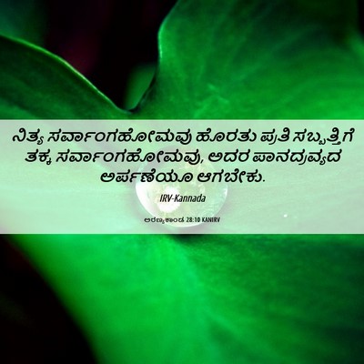 Picture 06 - ಅರಣ್ಯಕಾಂಡ 28:10 KANIRV - ನಿತ್ಯ - Bible Verse Picture