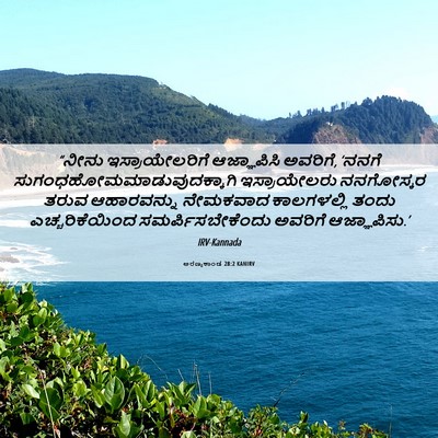 Picture 06 - ಅರಣ್ಯಕಾಂಡ 28:2 KANIRV - “ನೀನು - Bible Verse Picture