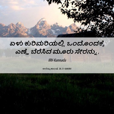Picture 06 - ಅರಣ್ಯಕಾಂಡ 28:21 KANIRV - ಏಳು ಕುರಿಮರಿಯಲ್ಲಿ - Bible Verse Picture