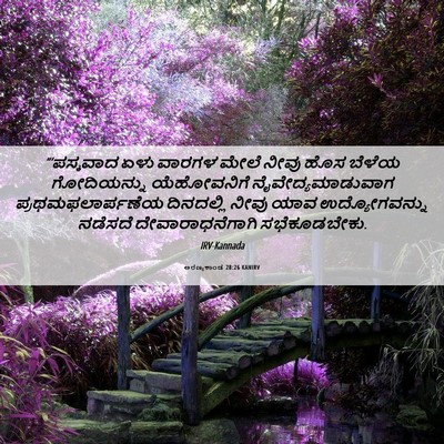 Picture 06 - ಅರಣ್ಯಕಾಂಡ 28:26 KANIRV - “‘ಪಸ್ಕವಾದ ಏಳು - Bible Verse Picture