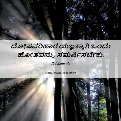 Picture 06 - ಅರಣ್ಯಕಾಂಡ 28:30 KANIRV - ದೋಷಪರಿಹಾರ - Bible Verse Picture