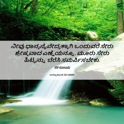 Picture 06 - ಅರಣ್ಯಕಾಂಡ 28:5 KANIRV - ನೀವು - Bible Verse Picture