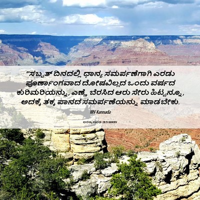 Picture 06 - ಅರಣ್ಯಕಾಂಡ 28:9 KANIRV - “‘ಸಬ್ಬತ್ ದಿನದಲ್ಲಿ - Bible Verse Picture