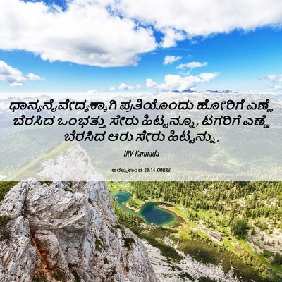 Picture 06 - ಅರಣ್ಯಕಾಂಡ 29:14 KANIRV -  - Bible Verse Picture