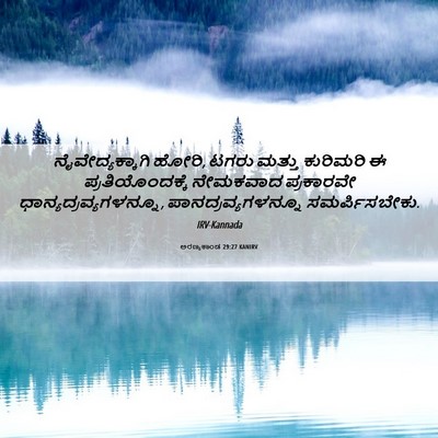 Picture 06 - ಅರಣ್ಯಕಾಂಡ 29:27 KANIRV - ನೈವೇದ್ಯಕ್ಕಾಗಿ - Bible Verse Picture