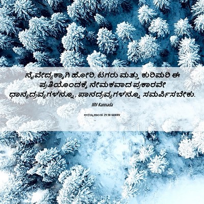 Picture 06 - ಅರಣ್ಯಕಾಂಡ 29:30 KANIRV - ನೈವೇದ್ಯಕ್ಕಾಗಿ - Bible Verse Picture