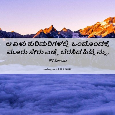 Picture 06 - ಅರಣ್ಯಕಾಂಡ 29:4 KANIRV - ಆ ಏಳು - Bible Verse Picture