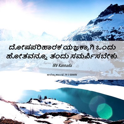 Picture 06 - ಅರಣ್ಯಕಾಂಡ 29:5 KANIRV - ದೋಷಪರಿಹಾರಕ - Bible Verse Picture