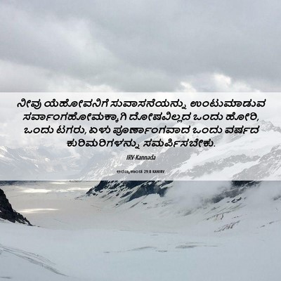 Picture 06 - ಅರಣ್ಯಕಾಂಡ 29:8 KANIRV - ನೀವು ಯೆಹೋವನಿಗೆ - Bible Verse Picture