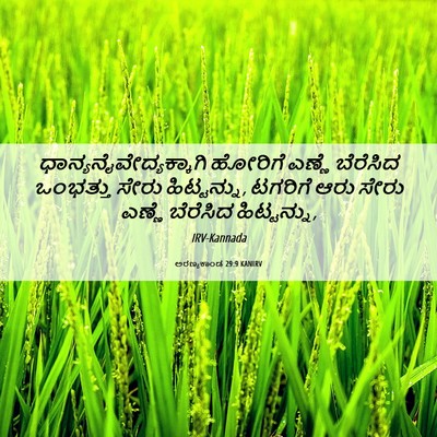 Picture 06 - ಅರಣ್ಯಕಾಂಡ 29:9 KANIRV -  - Bible Verse Picture