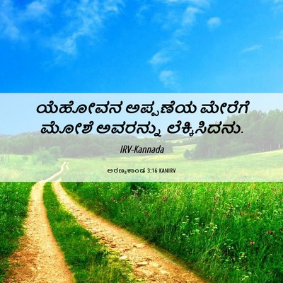 Picture 06 - ಅರಣ್ಯಕಾಂಡ 3:16 KANIRV - ಯೆಹೋವನ ಅಪ್ಪಣೆಯ - Bible Verse Picture