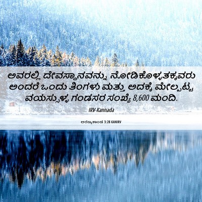 Picture 06 - ಅರಣ್ಯಕಾಂಡ 3:28 KANIRV - ಅವರಲ್ಲಿ - Bible Verse Picture