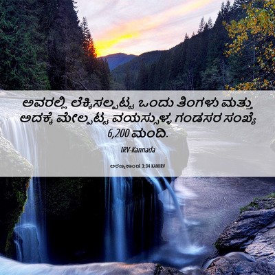 Picture 06 - ಅರಣ್ಯಕಾಂಡ 3:34 KANIRV - ಅವರಲ್ಲಿ - Bible Verse Picture